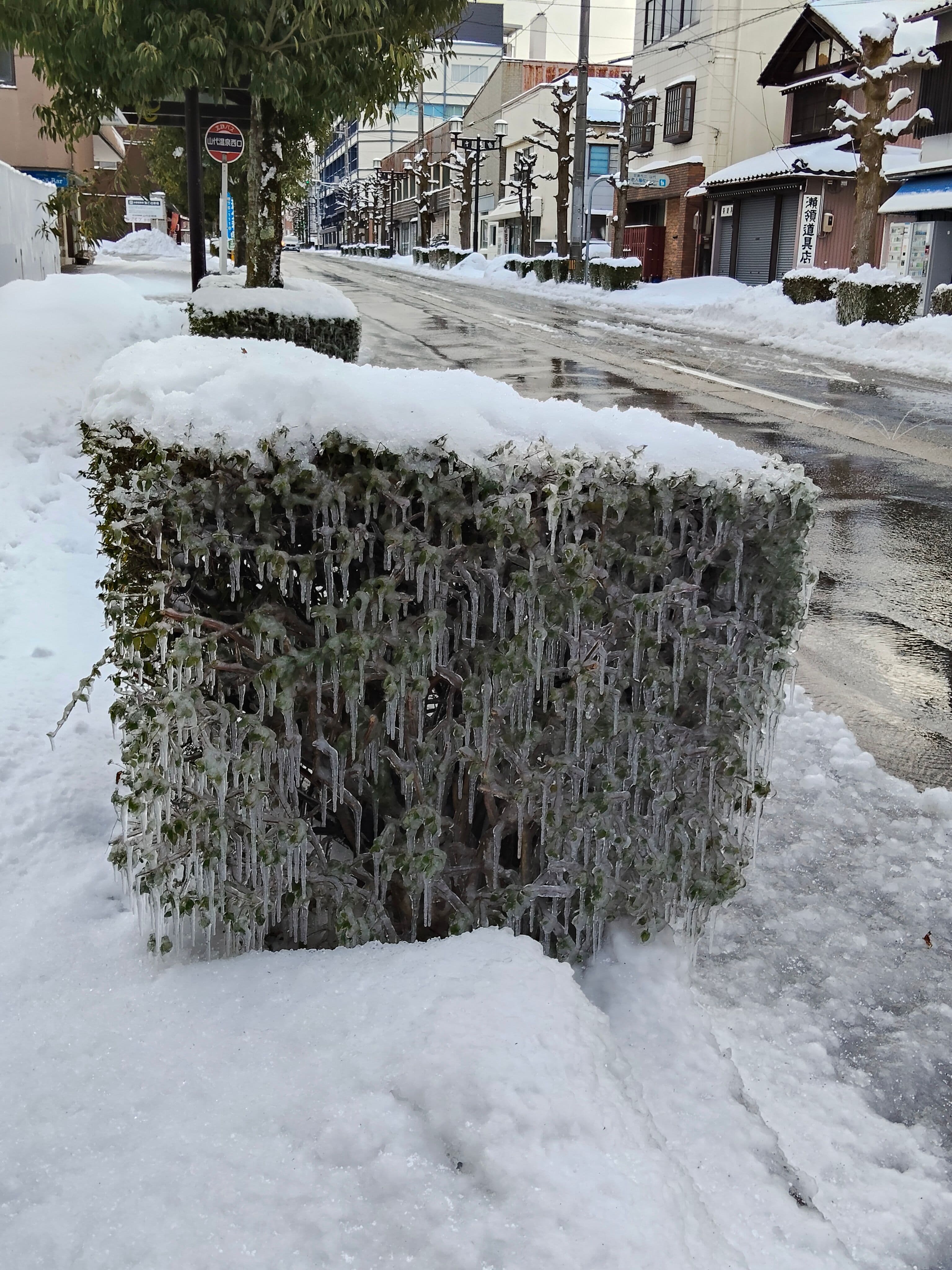 雪の山代温泉さんぽ|セルフ抹茶と青いカフェのスパイスカレー