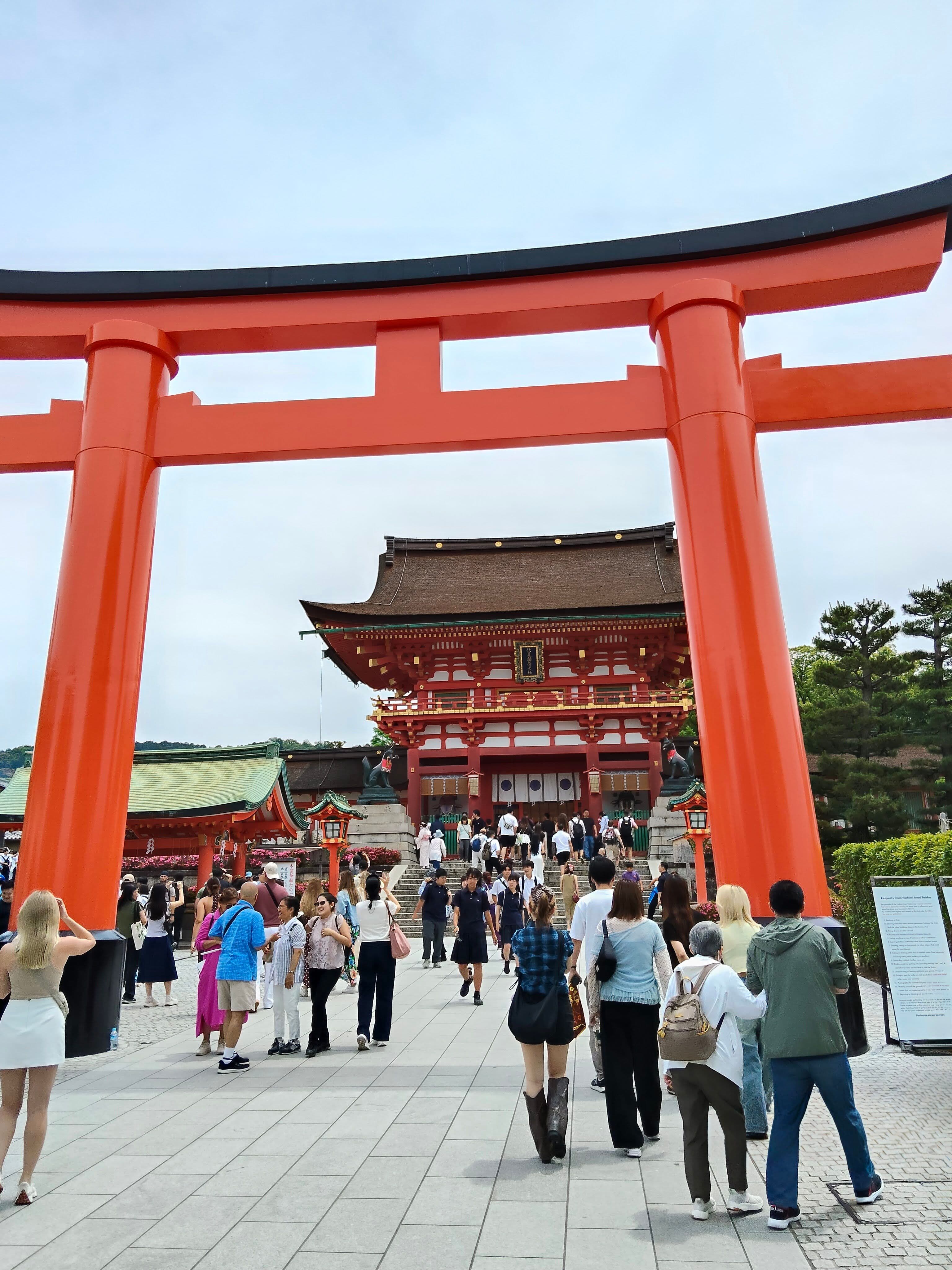 伏見稲荷・千本鳥居をのぼる|門前の「京都勝牛」で味わう牛カツ