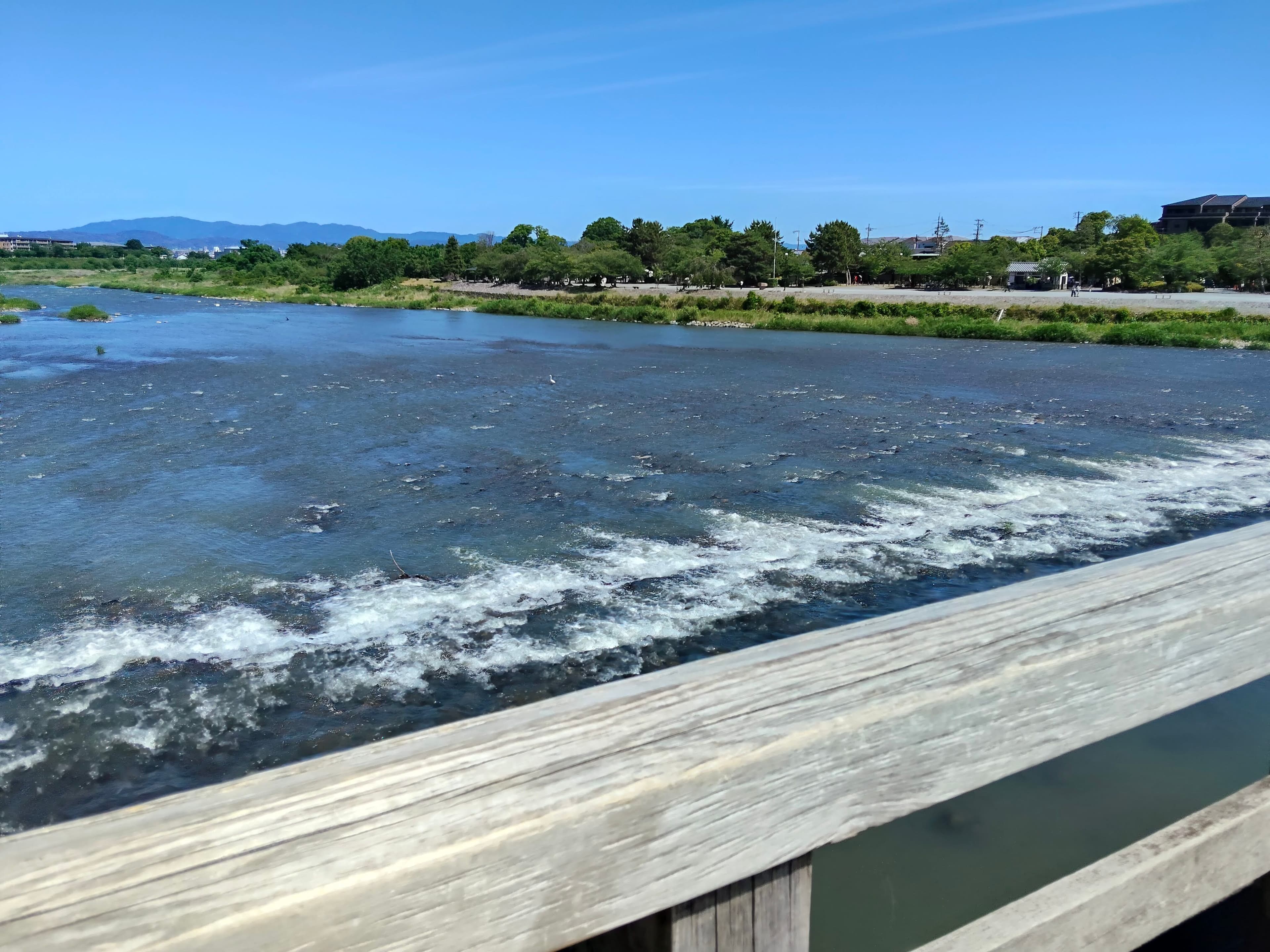 渡月橋・嵐山をめぐる初夏の京都|屋形船と錦のグルメを食べ歩く