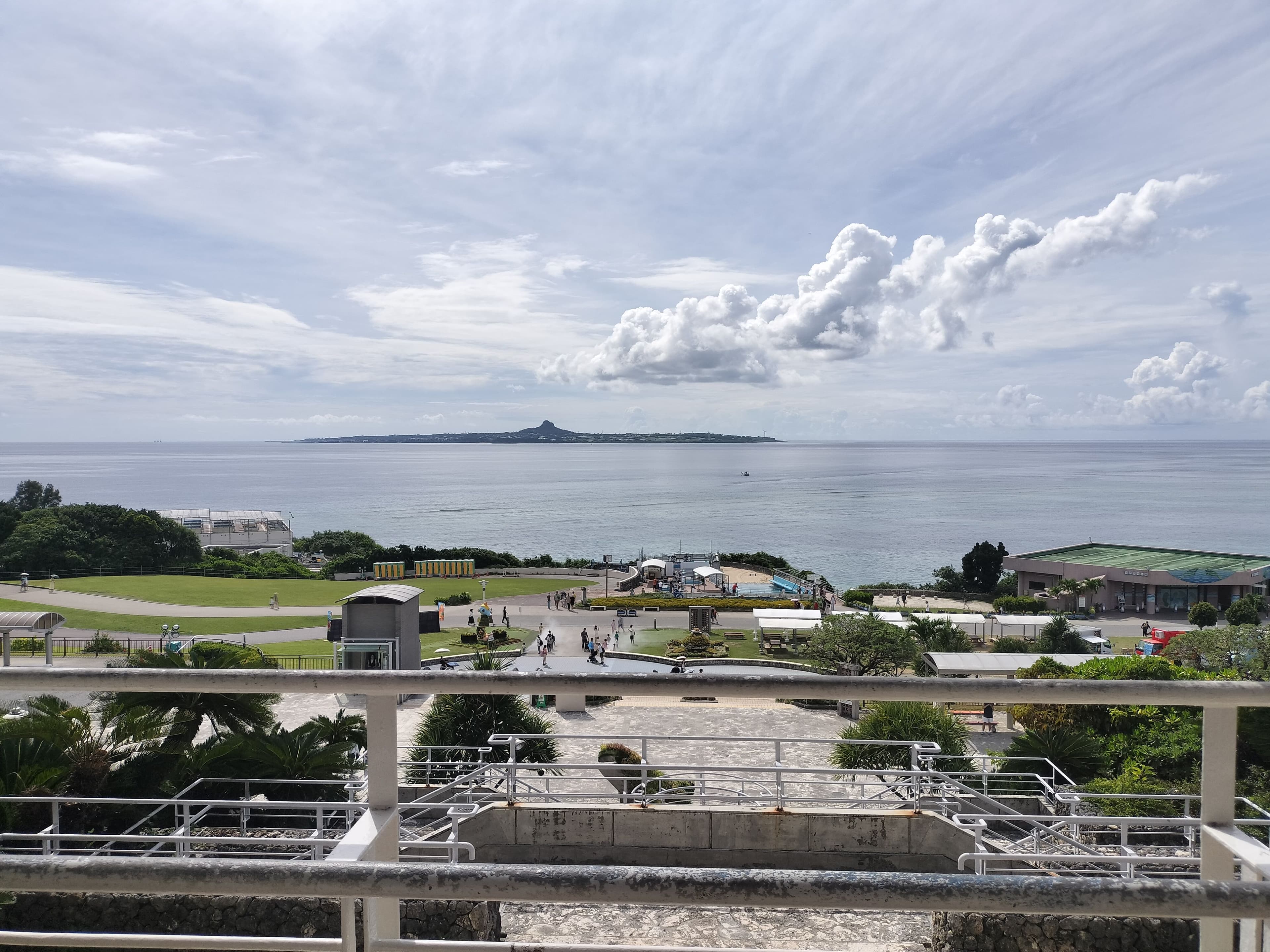 沖縄本島を南北に縦断|恩納のアーサそばから美ら海・海洋博公園へ
